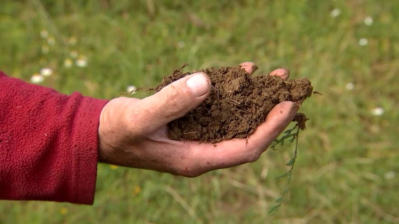 Foire agricole : la problématique de l'accès aux terres arables