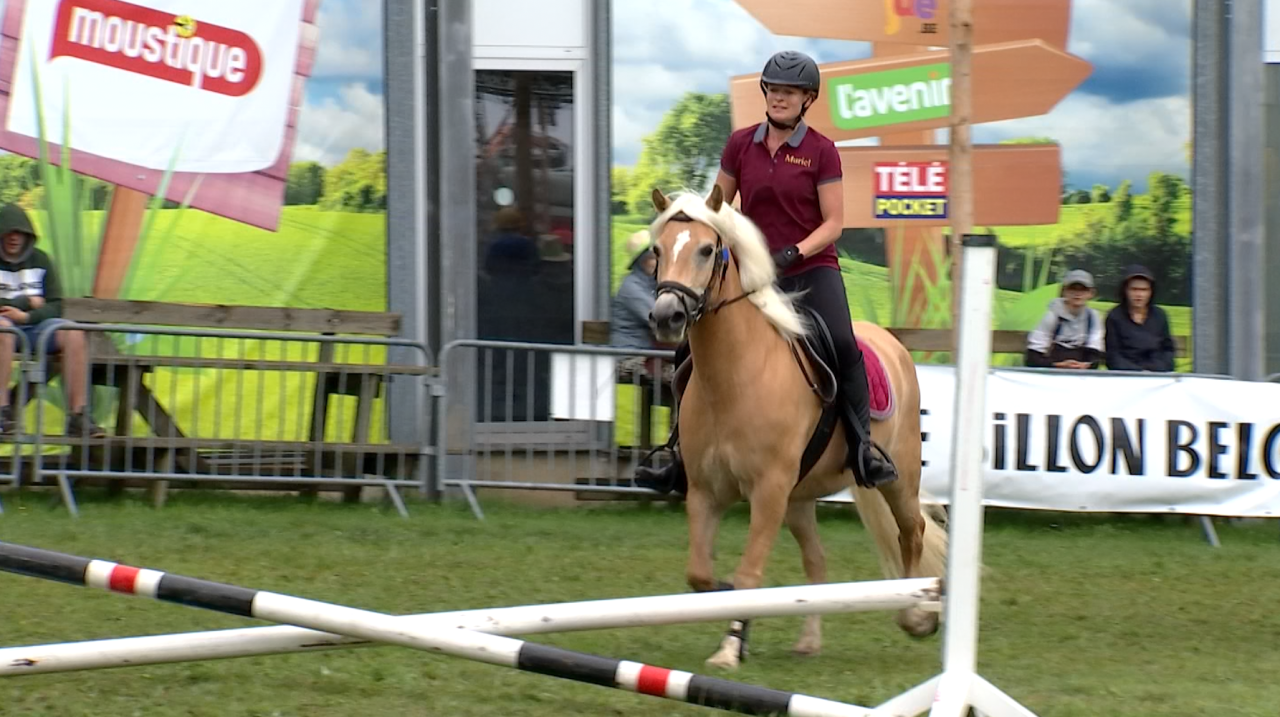 Des chevaux Haflinger en spectacle sur le grand ring de la foire