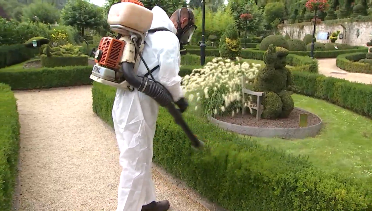 Durbuy : la pyrale du buis menace les arbustes du Parc des Topiaires