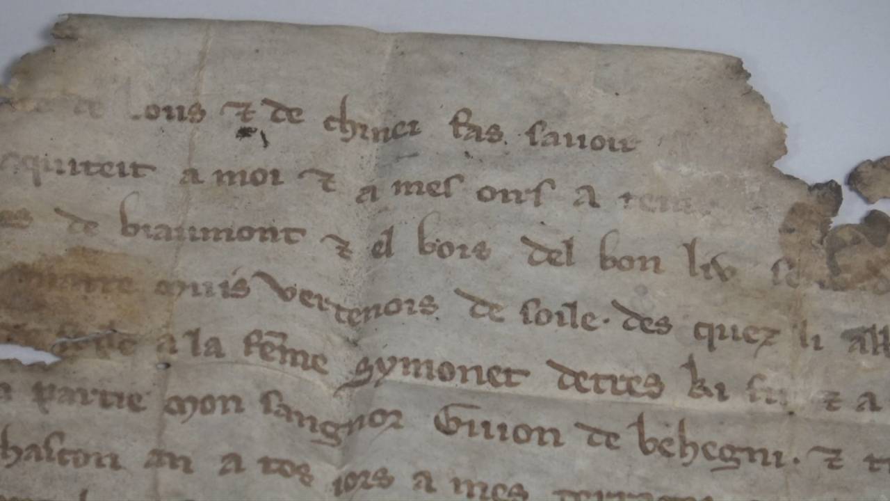 Veau, mouton ou chèvre, qu'utilisaient les moines d'Orval pour leurs écrits ?