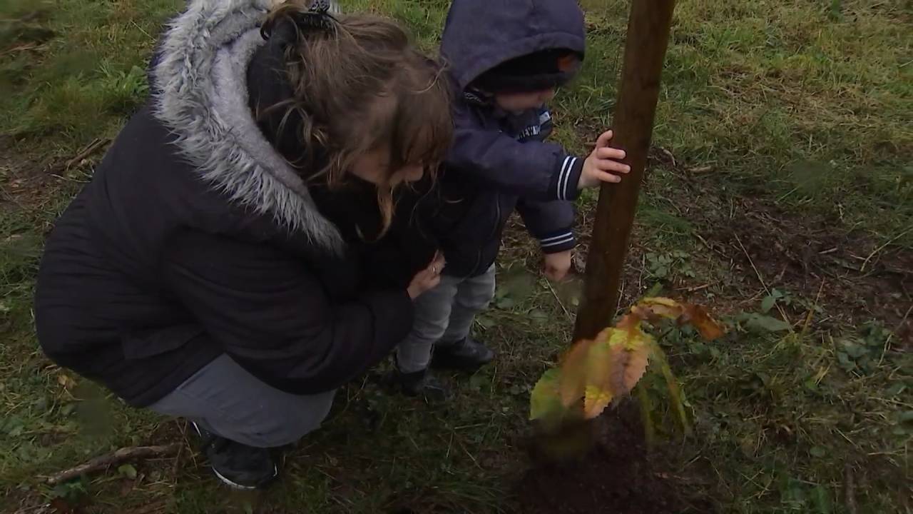 Opération "Une naissance, un arbre" à Saint-Hubert, une dizaine de familles brave les intempéries