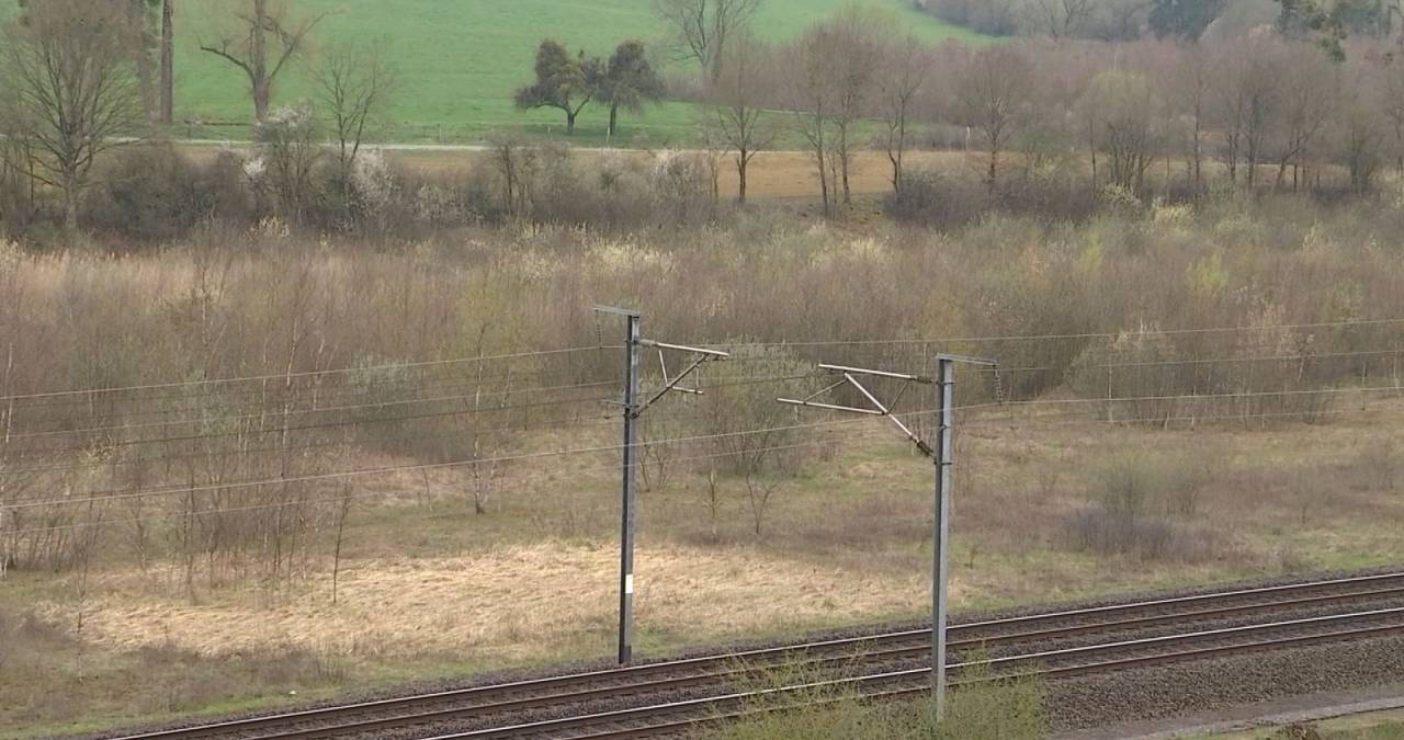 Virton (Latour) : Un père et son fils âgé d’une dizaine d’années découvrent un cadavre en participant à une traque.