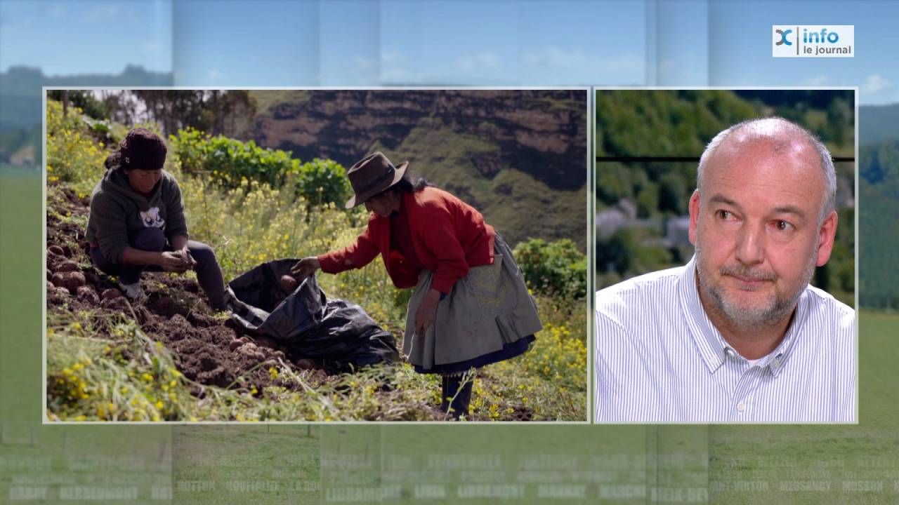 Iles de Paix entre en campagne pour soutenir l'agriculture locale au Pérou 