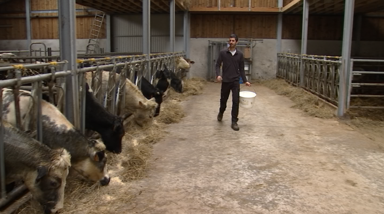 Sébastien, agriculteur à Bérismenil : "le monde agricole est à bout de souffle"
