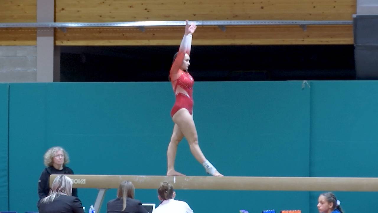 Championnat provincial : 230 gymnastes a wellin