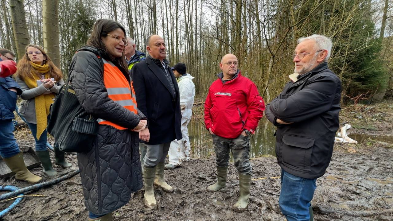 Pollution sur la Mellier à Marbehan : des analyses prévues sur le long terme