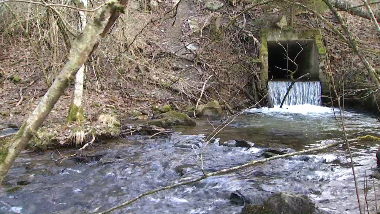 "Les Débarrageurs" (dambusters) projetté à deux reprises par le Parc National de la Vallée de la Semois