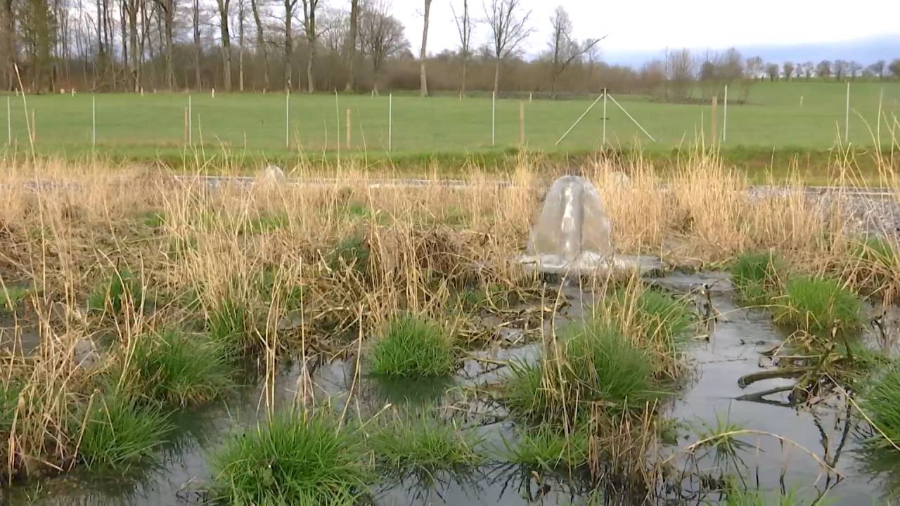 Attert : deux stations supplémentaires pour assainir les eaux usées