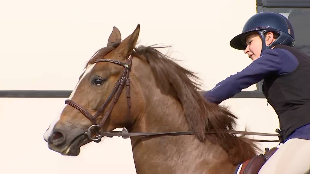 Jumping : Les jeunes chevaux ouvrent la saison à Vance