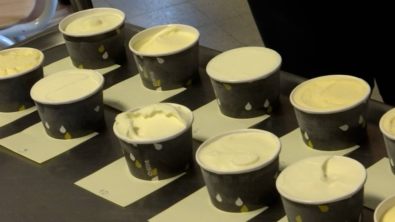 13 glaces en lice au concours de la meilleure glace au lait de vache