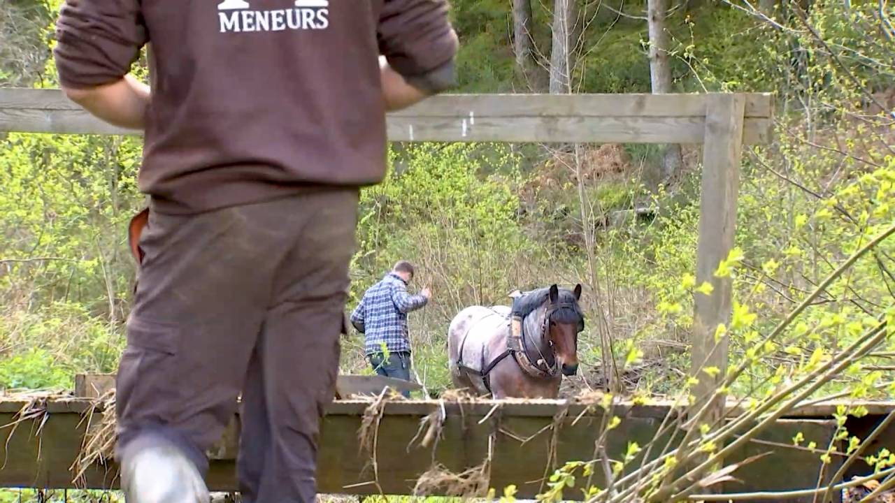 Le cheval de trait à la rescousse pour dégager la passerelle