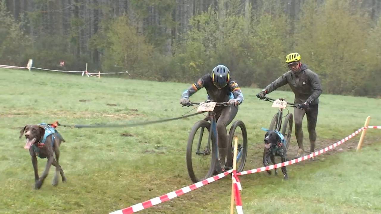 Bikejoring et dog scooter : la Baraque accueille les championnats de Belgique de canicross