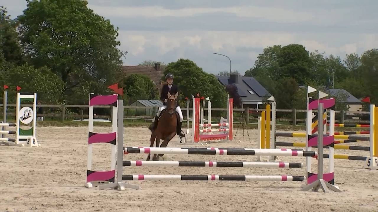 Equitation : Les jeunes cavaliers en piste lors du jumping de Bastogne