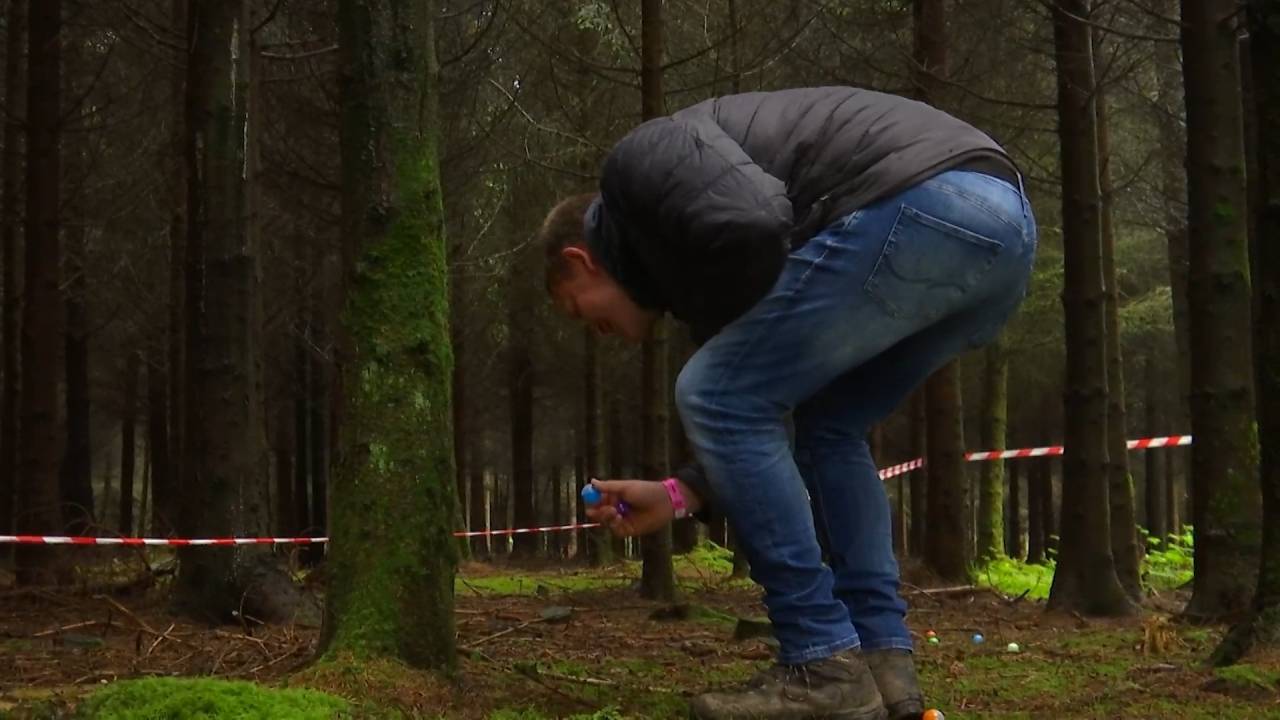 Une chasse à la bière dans les bois de Manhay 