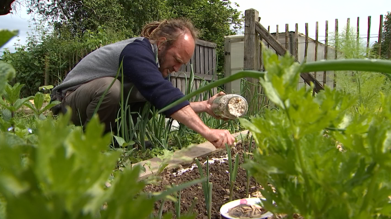 Des recettes de grand-mère pour écarter les limaces de votre jardin