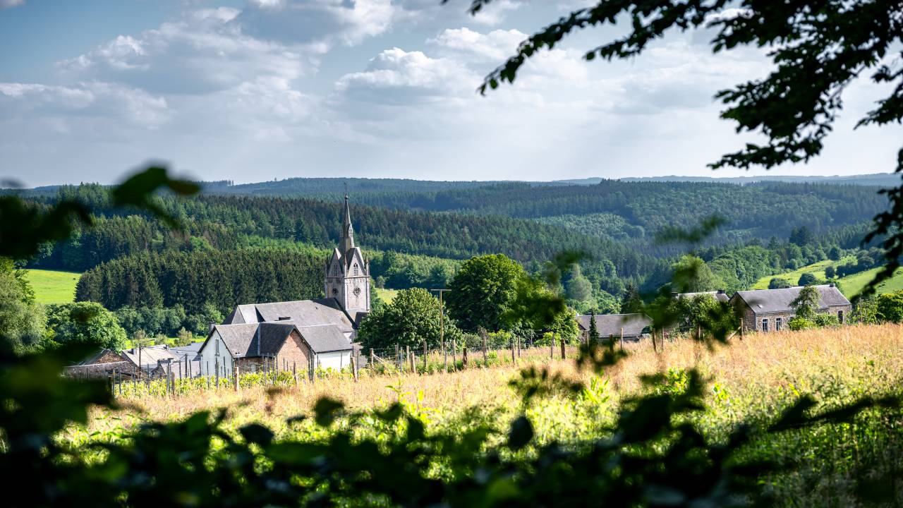 Redu et ses hameaux Lesse et Séchery entrent dans le cercle des plus beaux villages de Wallonie 