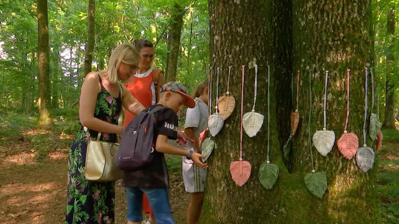 Tintigny: découverte du Sentier de l'Arbre Sacré à Bellefontaine