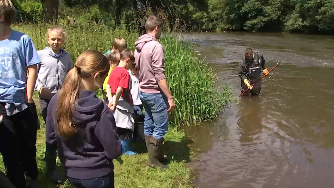 Parc national : ces élèves découvrent la Semois à Sainte-Cécile