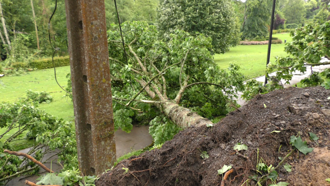 Tempête sur Durbuy: des dizaines d'arbres à terre mais pas de blessés