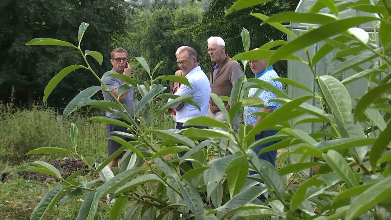 "Au champ-être", un jardin partagé au coeur de Bastogne