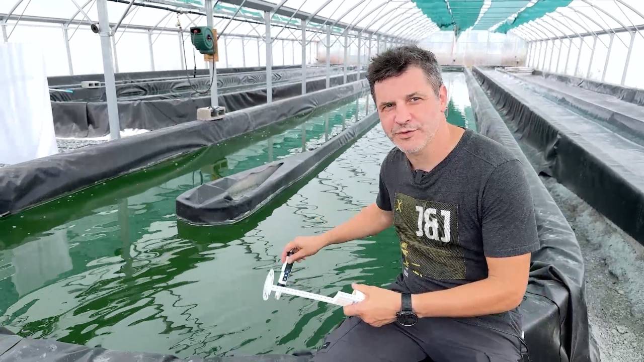 La première spiruline belge est gaumaise