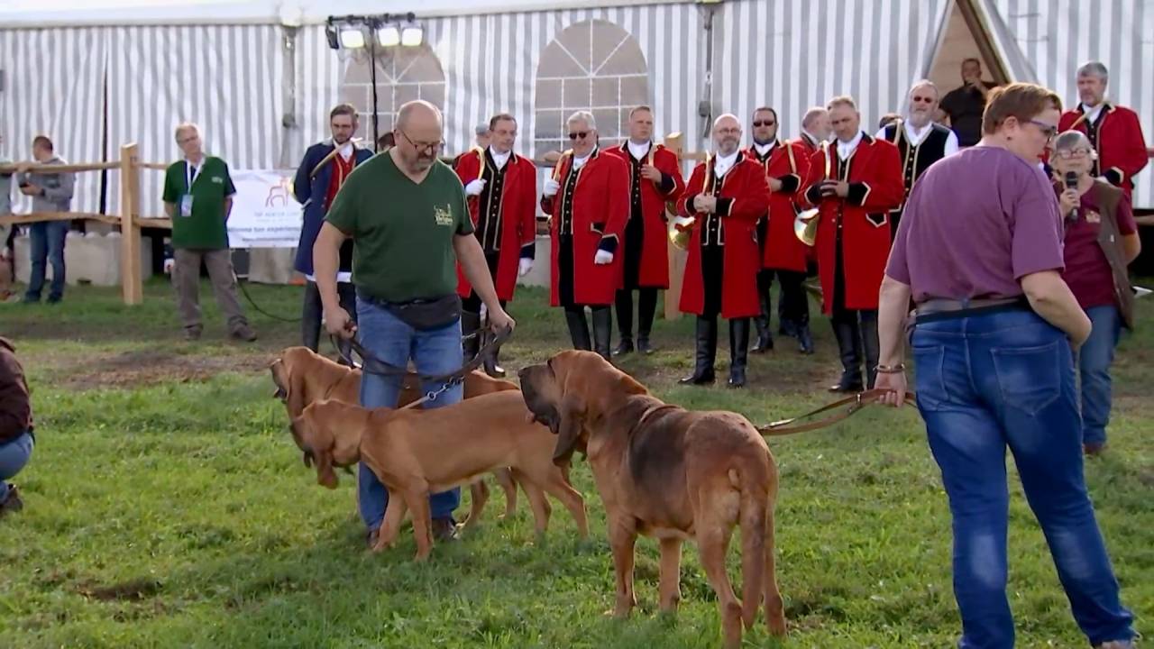 Saint-Hubert : Première édition du Salon de la chasse et de la pêche au château de Mirwart