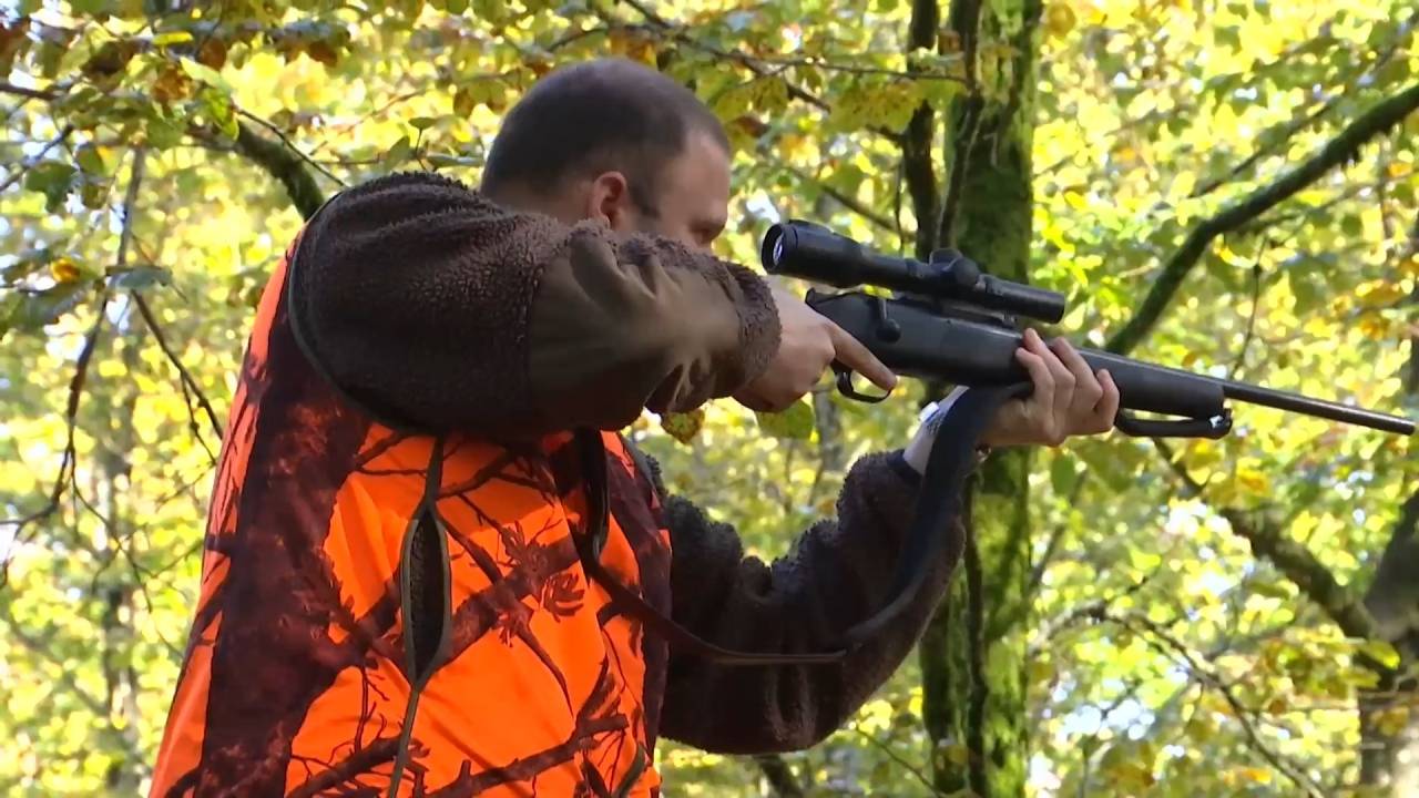 La traque-affût : une nouvelle technique de chasse dite plus ethique