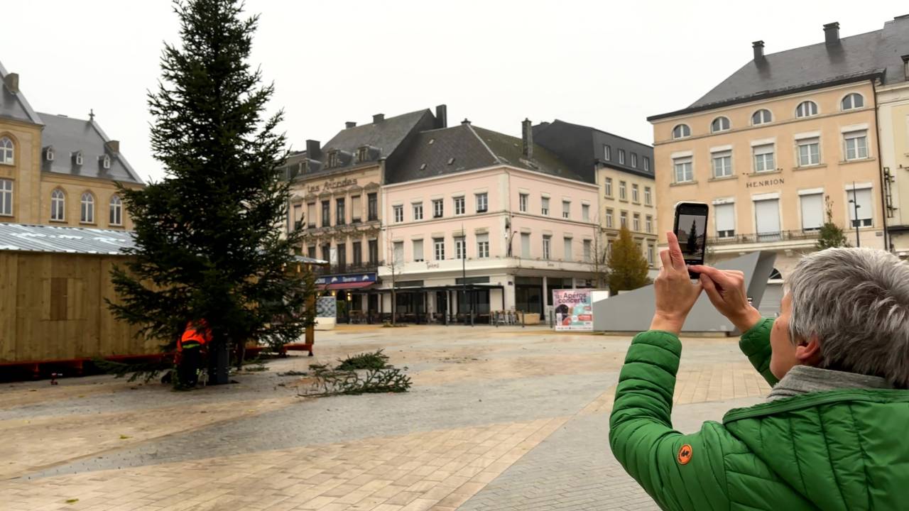 Arlon: retour d'un sapin de Noël naturel sur la place Léopold 