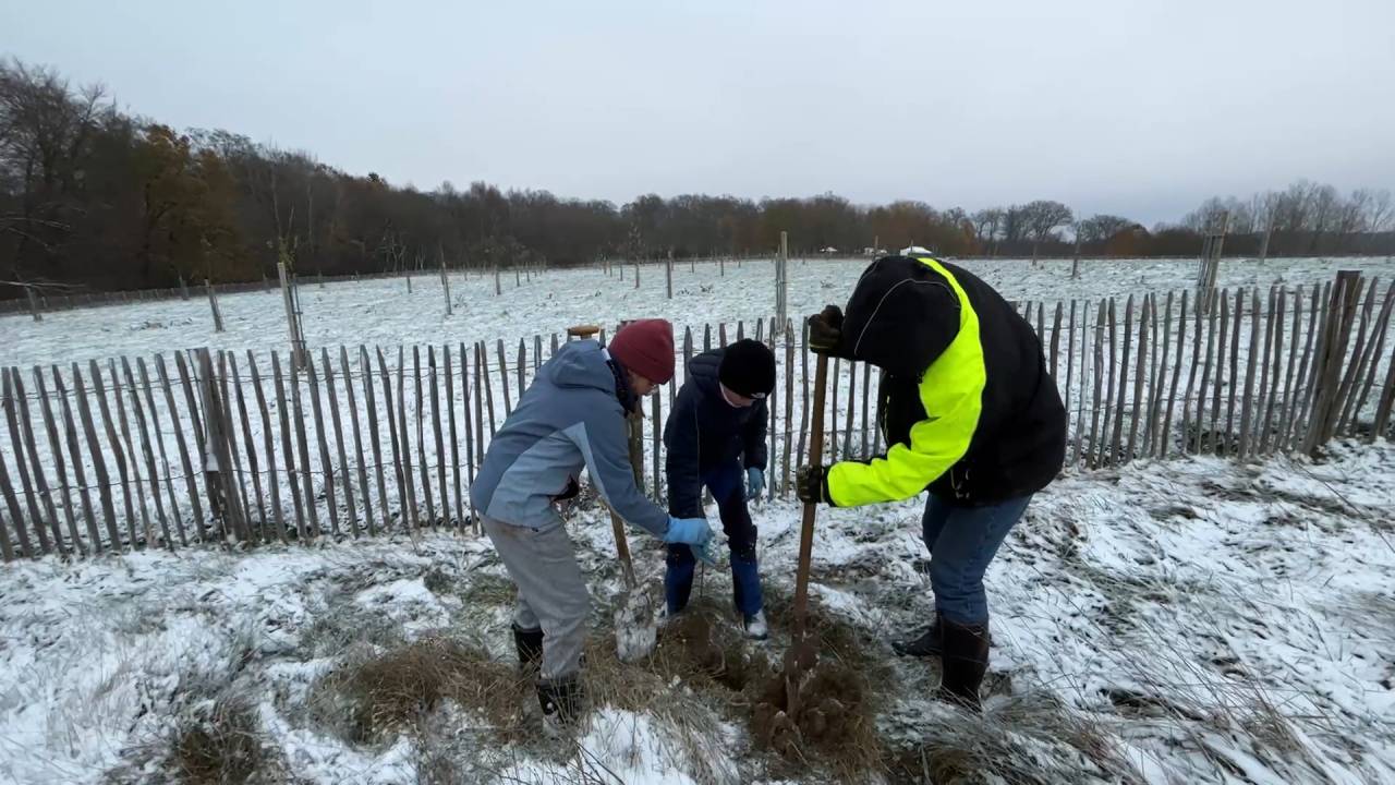 Chantier participatif autour d'un jardin forêt à Frassem 