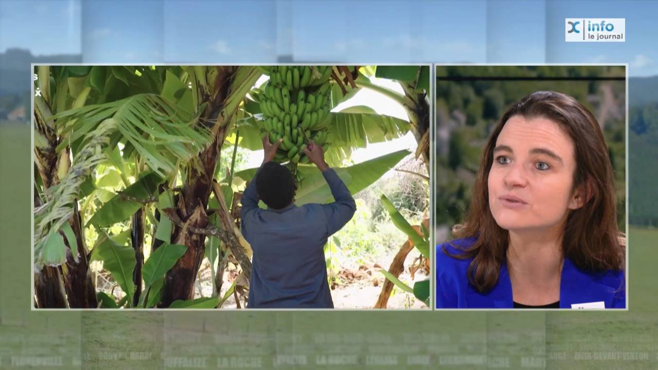 Campagne d'Iles de Paix : les volontaires se mobilisent pour le droit à l'alimentation