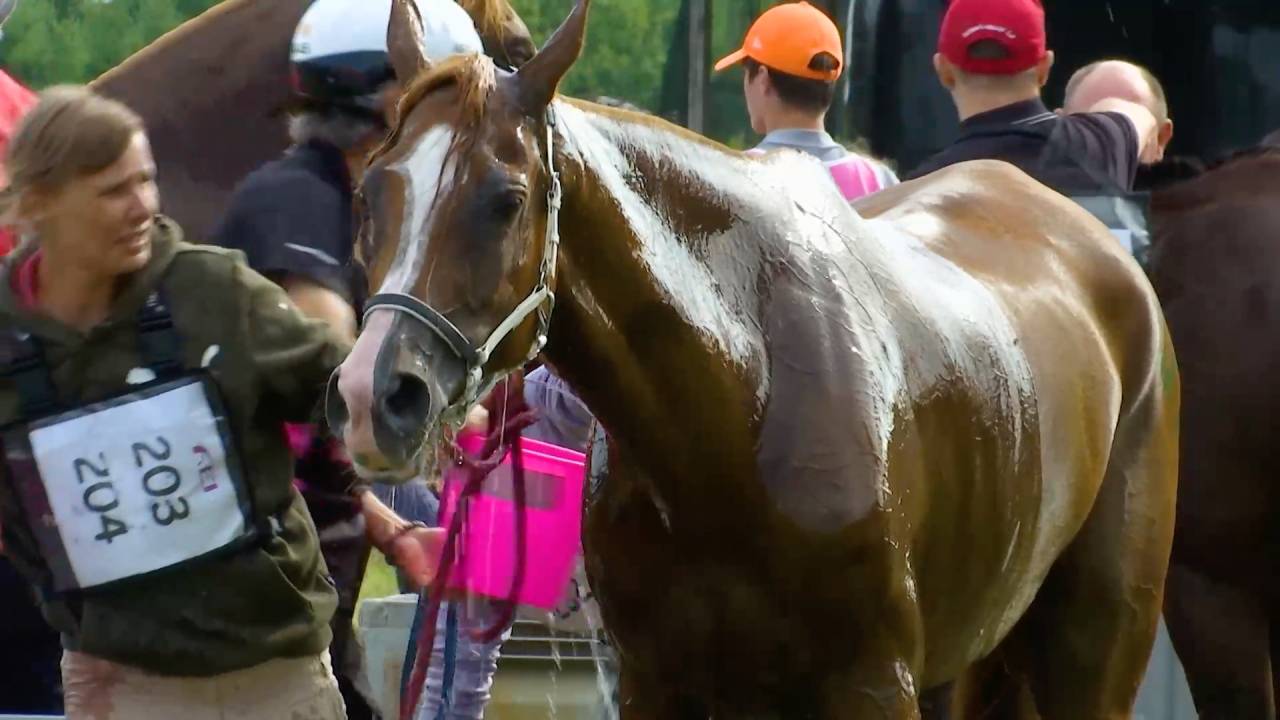  Etalle, l’endurance équestre attire le monde : un ultime galop avant les championnats du monde Juniors