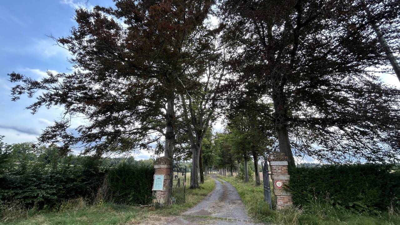Une pétition contre l’abattage d’arbres à Tintigny