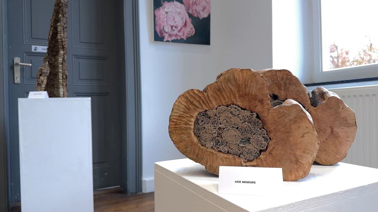 14 artistes de L'écArt exposent ce week-end au Palais à Arlon