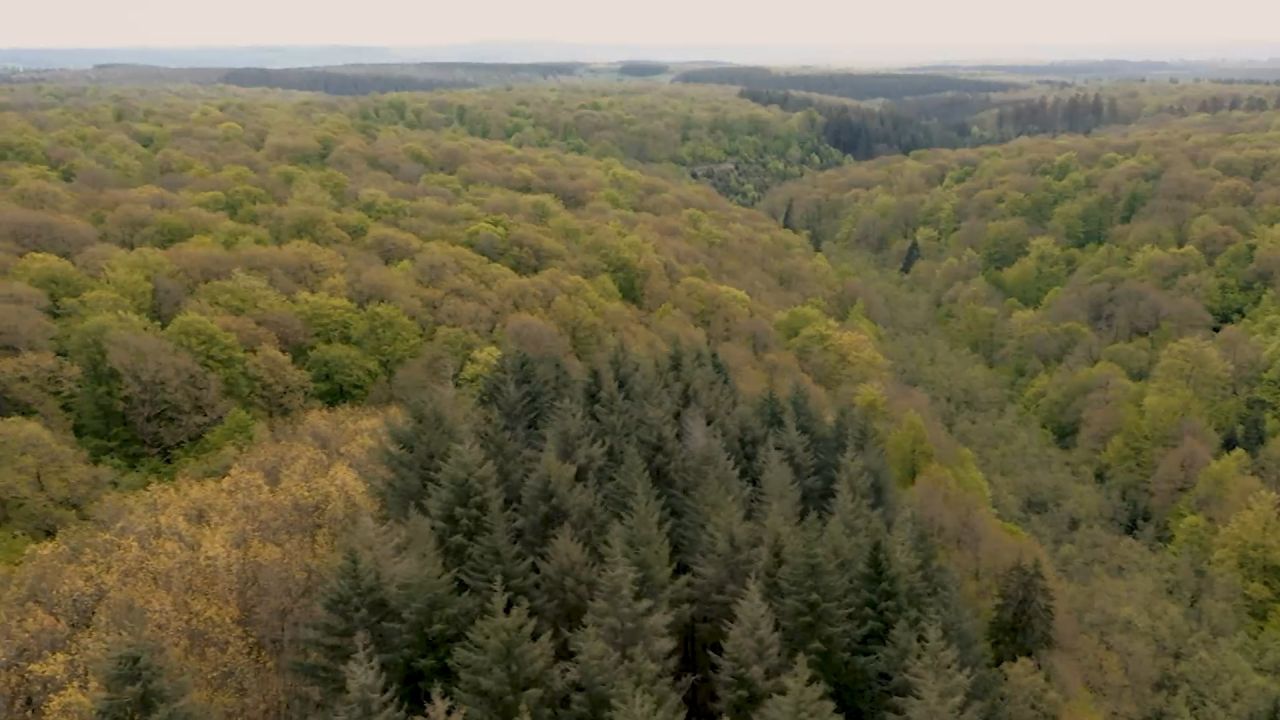 Luxembourg terre de cœur : les parcs naturels