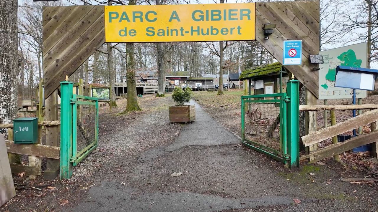 Un centre de soins pour la faune sauvage en projet au parc à gibier de Saint-Hubert