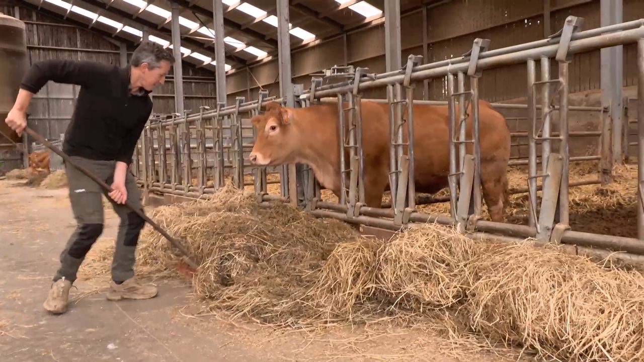 Une petite partie des producteurs bio s'oppose à la cotisation spéciale de l'APAQ-W