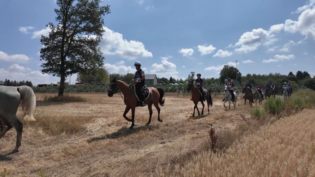 A Etalle, l’endurance équestre met à nouveau les chevaux à l’épreuve sur les chemins de Gaume