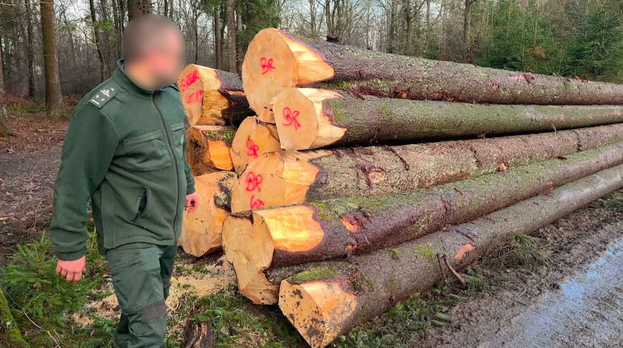Face au manque de moyens, des agents du DNF sortent du bois