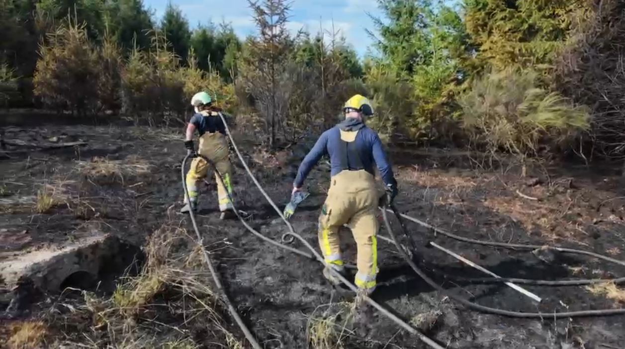 Un incendie en bordure de forêt entre Heinstert et Vlessart