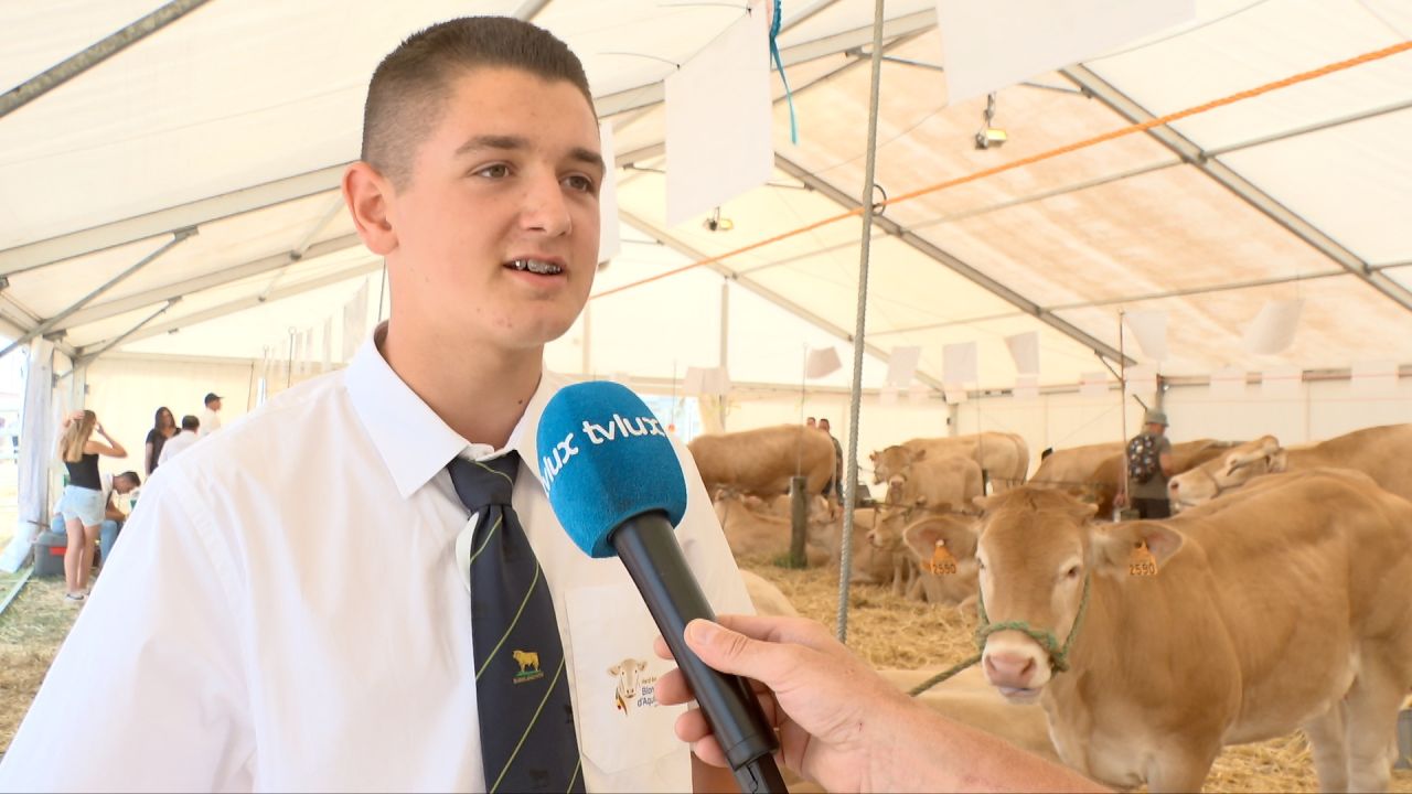 Concours de Blonde d'Aquitaine : le jeune éleveur Jules Pierret est d'abord là pour le plaisir