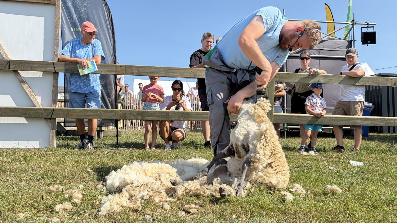 « La Ferme enchantée », un lieu dédié aux familles à la foire de Libramont