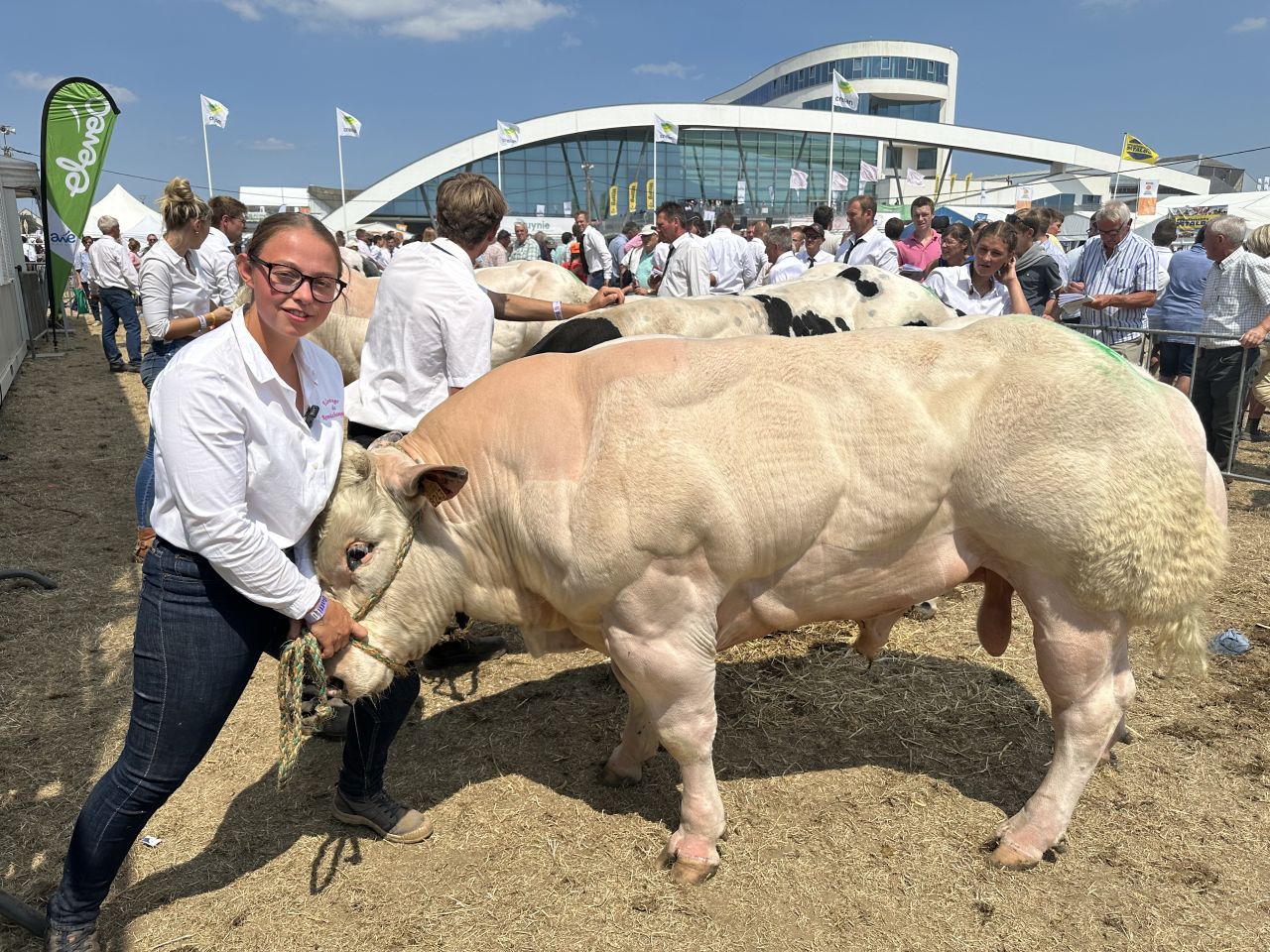 Au coeur du concours Blanc Bleu Belge avec Eugénie Materne, éleveuse de 25 ans.