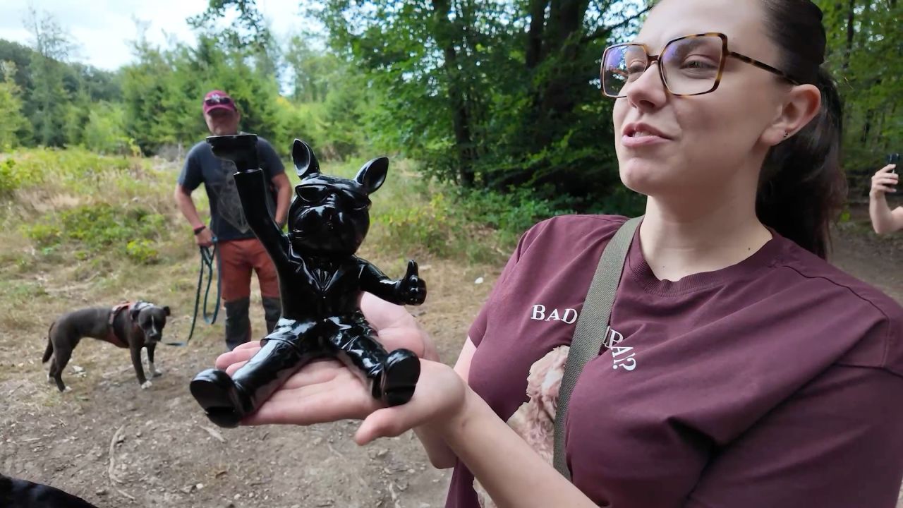 À Habay, quinze chiens se lancent dans l’aventure Dog-Lanta