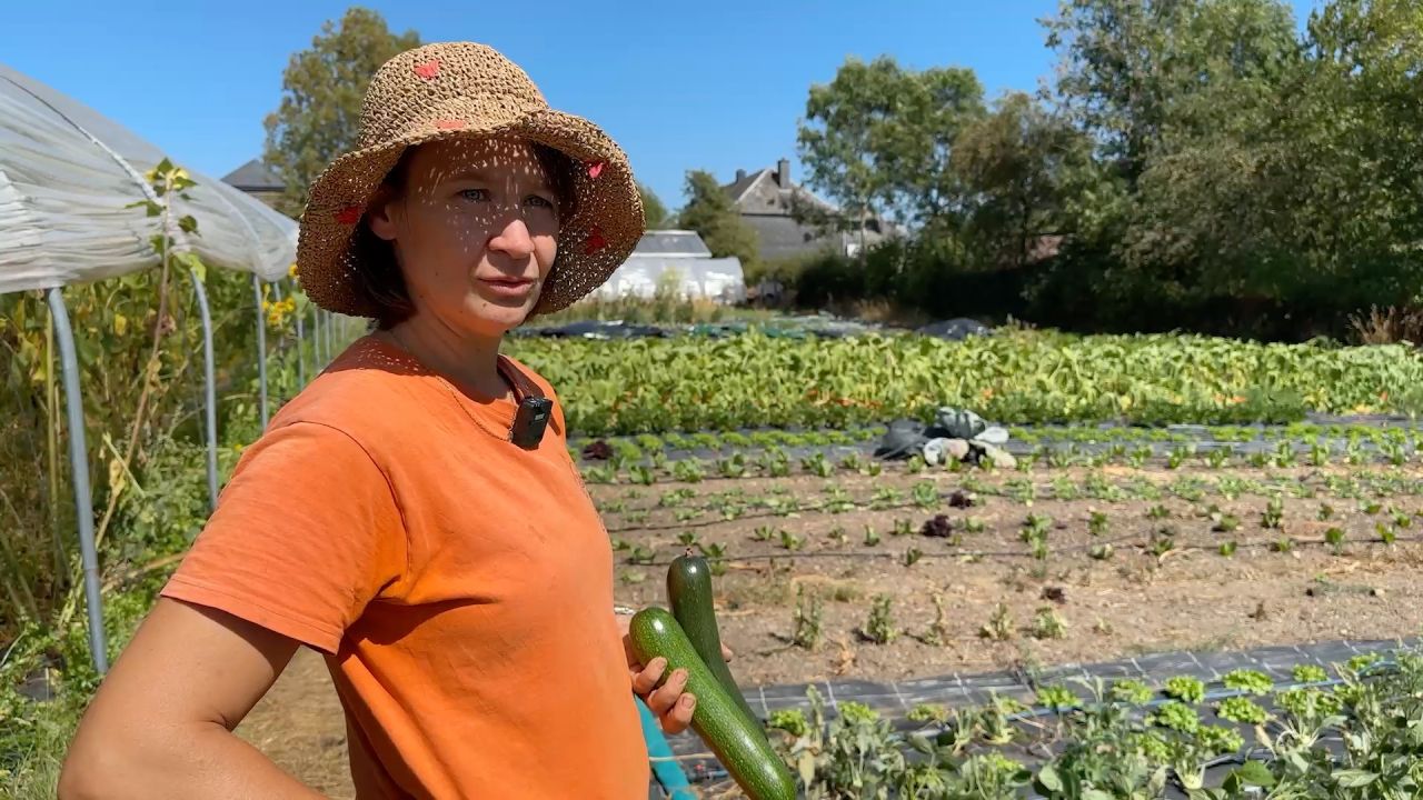 Anaïs, maraîchère à Tintange, sacrifie des cultures pour économiser l'eau