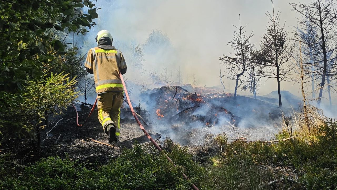 Incendie en cours en forêt d'Anlier à Habay