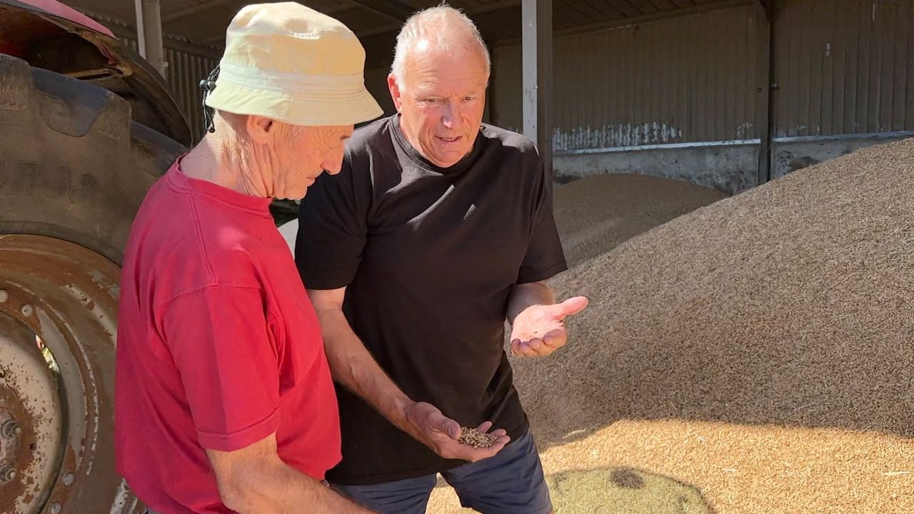 Sécheresse : les agriculteurs gaumais font leurs comptes 