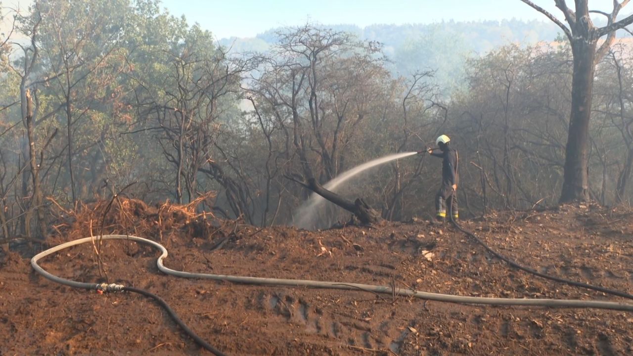 30 hectares partis en fumée à Wellin. L'incendie est contenu mais pas encore fixé ce mercredi en fin de soirée