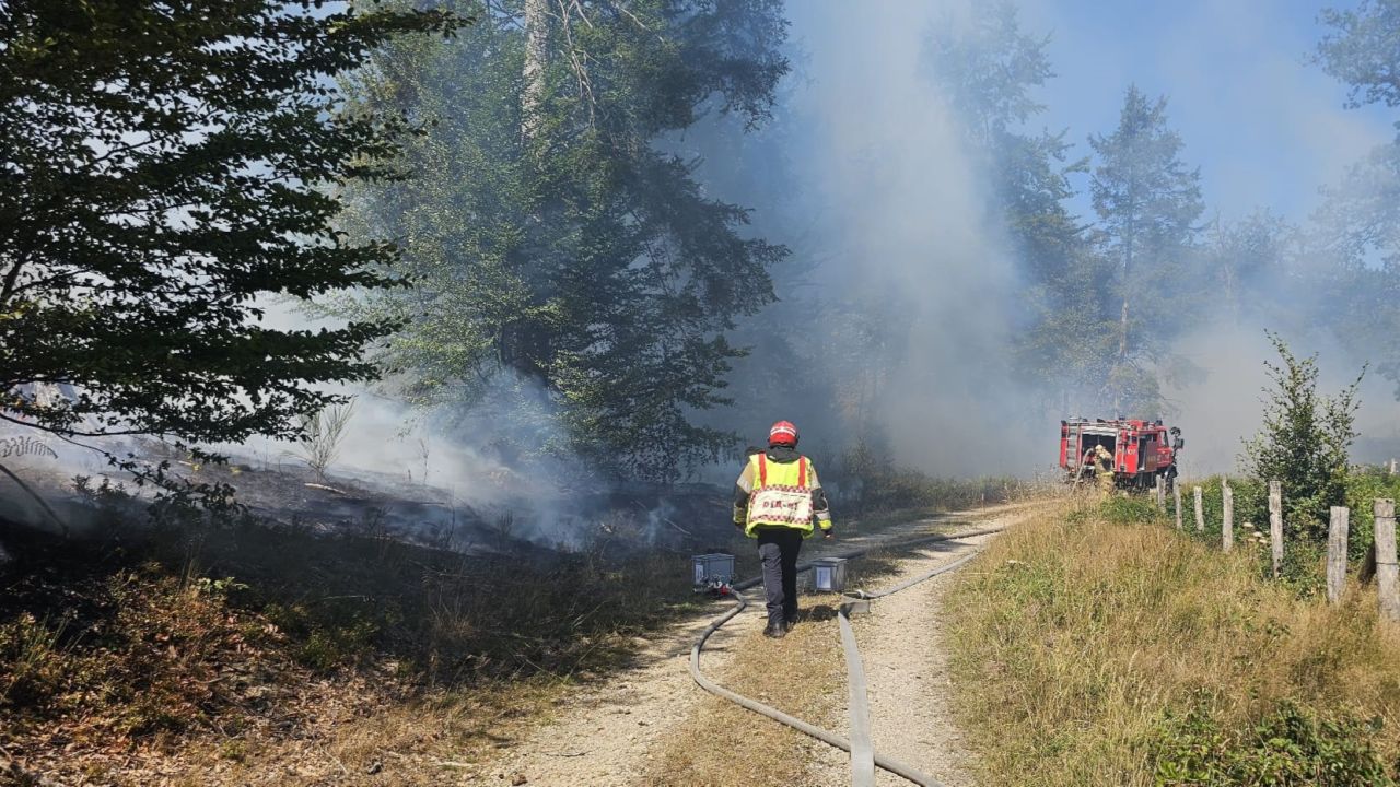 233 interventions pour des feux en milieu naturel depuis le 1er juillet en province de Luxembourg