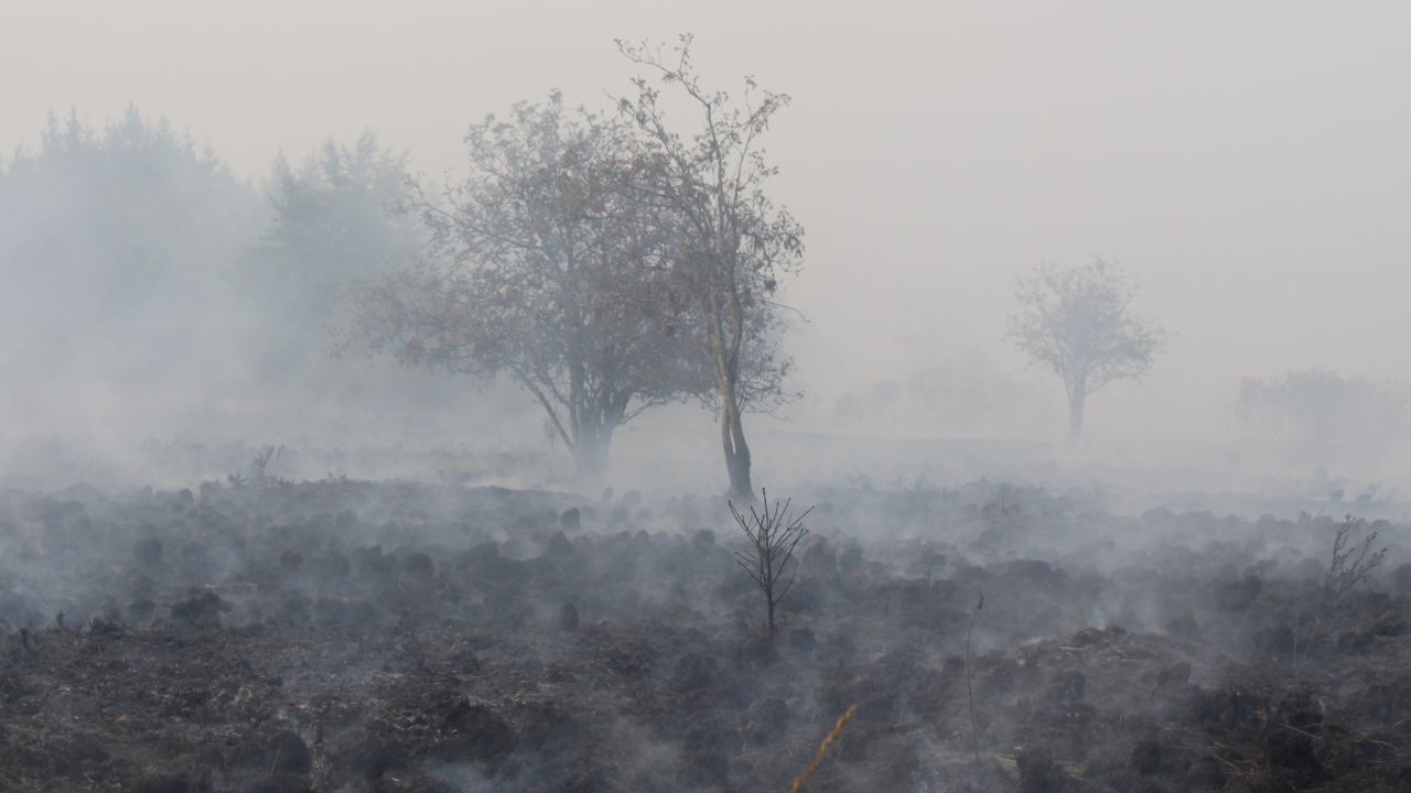 Incendie dans les Fagnes : odeur de brûlé et fumées touchent la province. N'appelez pas le 112 et suivez les recommandations 