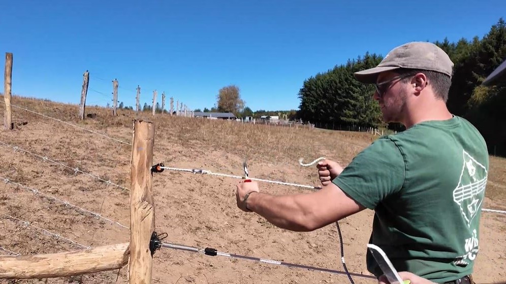 Fauvillers : des clôtures pour contrer le loup